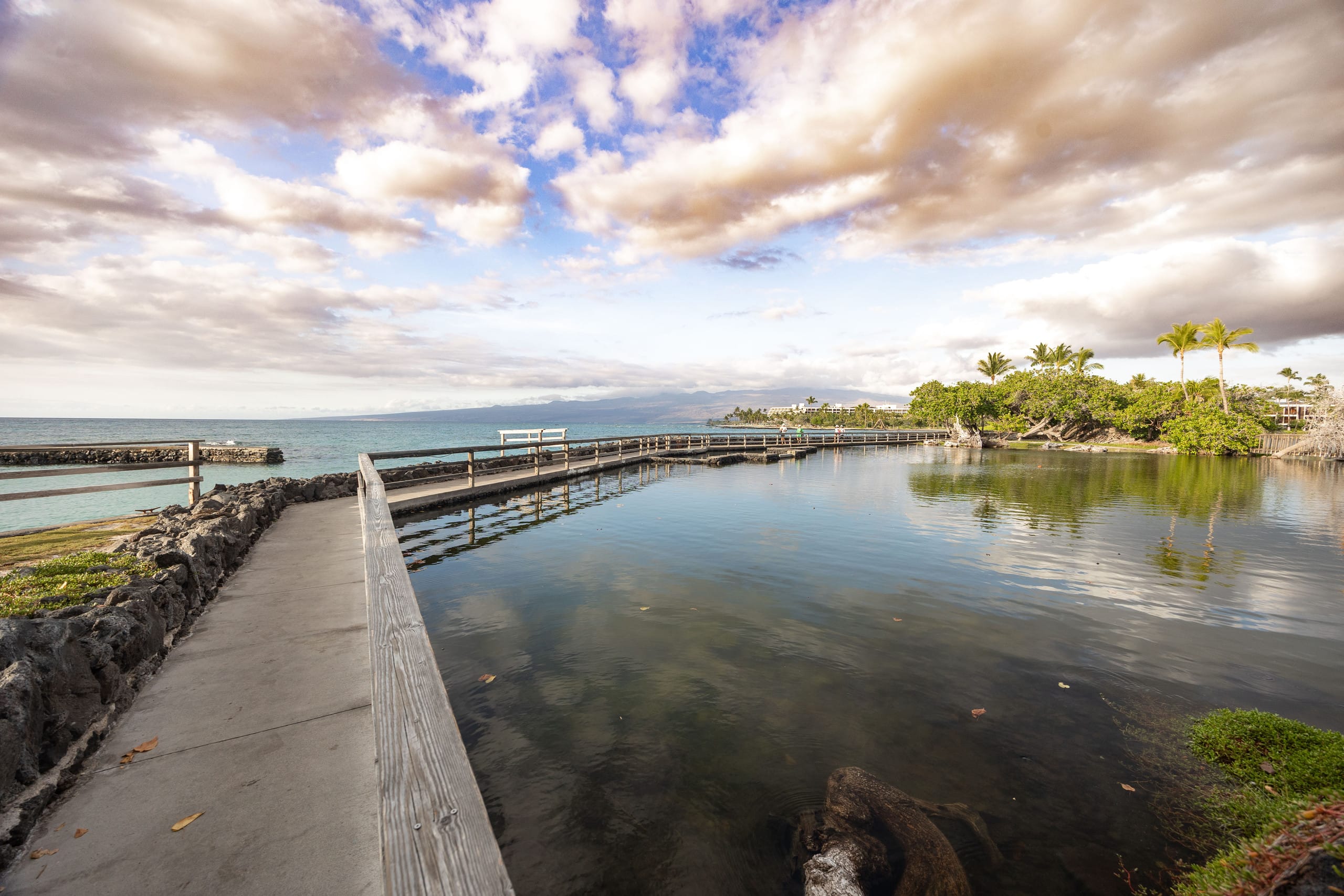 Townhouse in Waimea · ★5.0 · 3 bedrooms · 6 beds · 3 baths - Image 167
