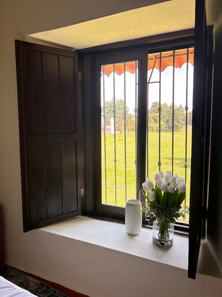 Photo de toute la pièce