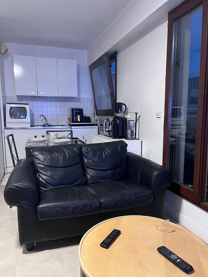 Studio Lumineux Avec Terrasse / Bercy Accor Arena - Charenton-le-Pont