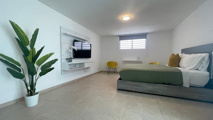 Via 31 Suite 1 Near Airport - Trujillo Alto