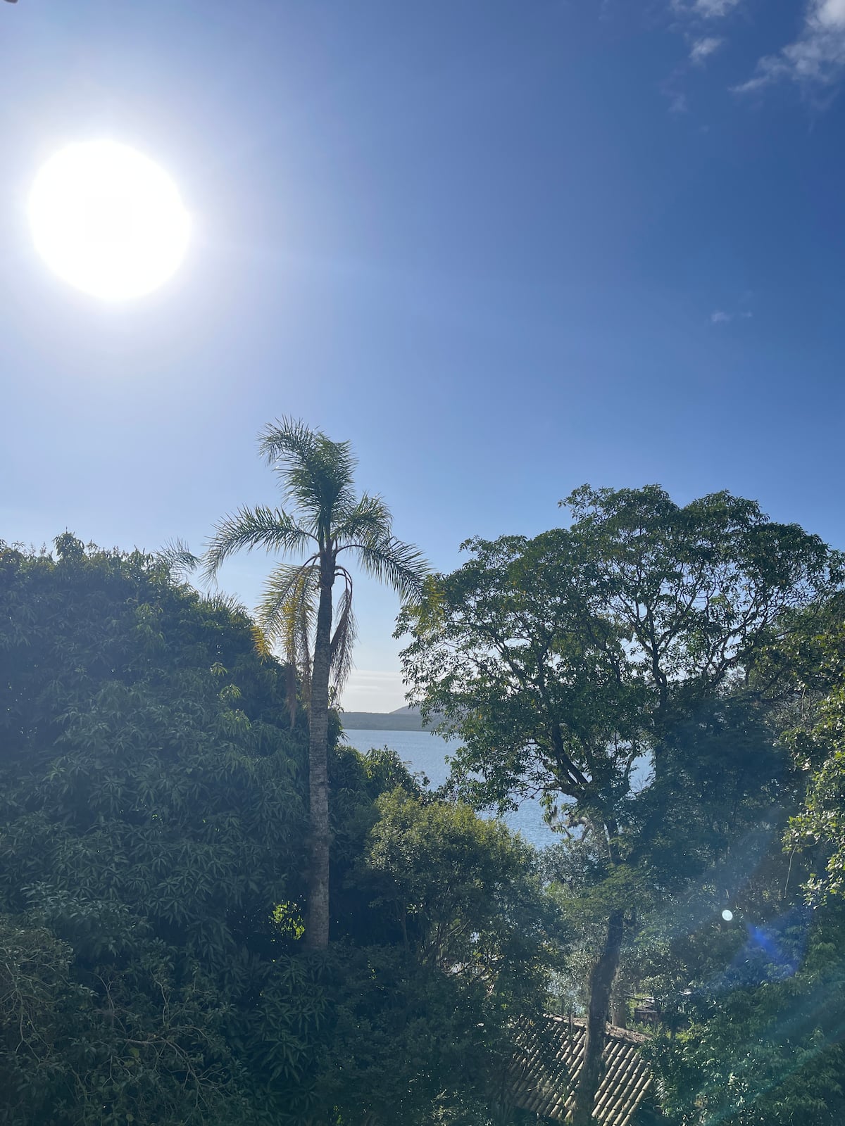 Vista da mata e da Lagoa da Conceição através da janela