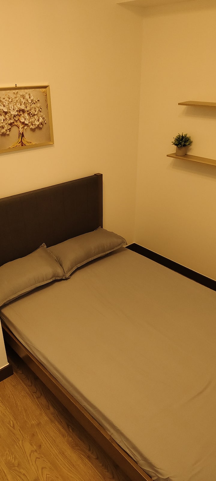 Quarto 2