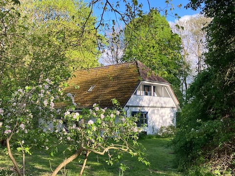 Pond house with loggia in the countryside on the Reischvitz estate