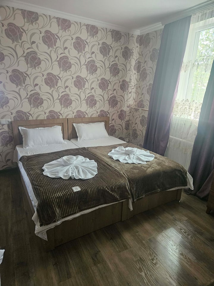 Chambre 5