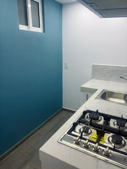 Top Airbnb: Apartment in the Heart of Toluca “Árbol” in Toluca