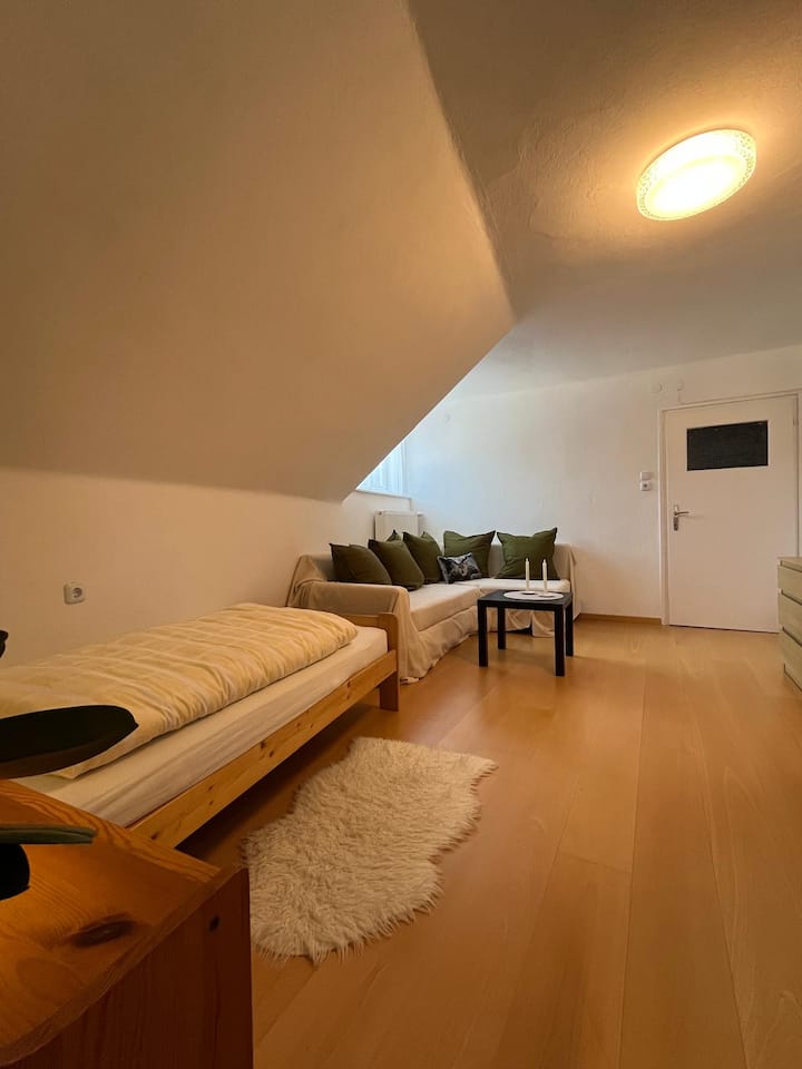 Esta habitación tiene una cama individual y un sofá cama.