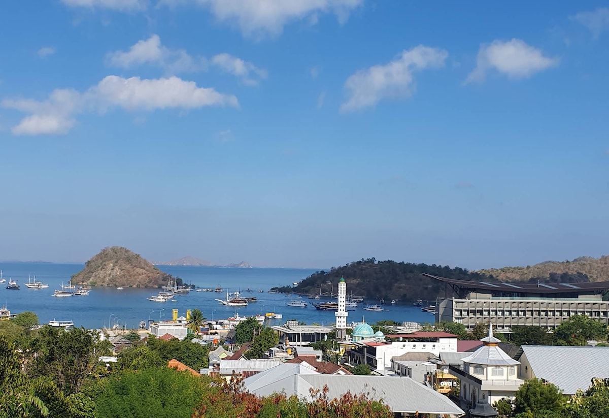 A panoramic view captures the harbour, featuring islands and boats dotted across the blue water. In the foreground, town structures with rooftops of varying colors are visible, framed by lush greenery. The sky is clear with a few clouds, enhancing the scenic coastal landscape.