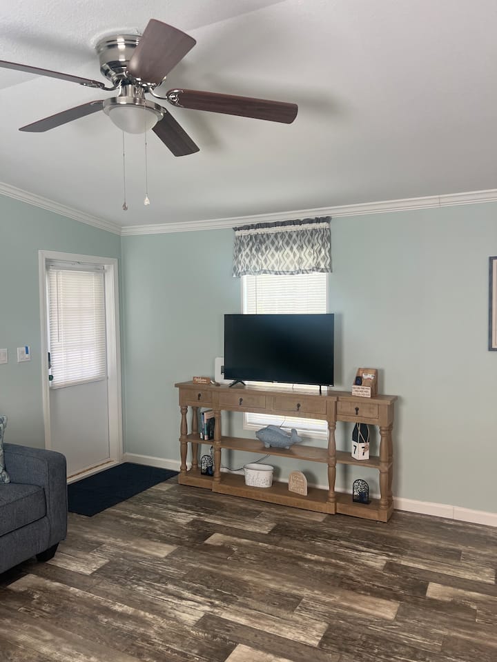 الباب الأمامي الداخلي، تلفزيون ذكي، قراءة كتب عن نهر سانت جونز ومروحة السقف.