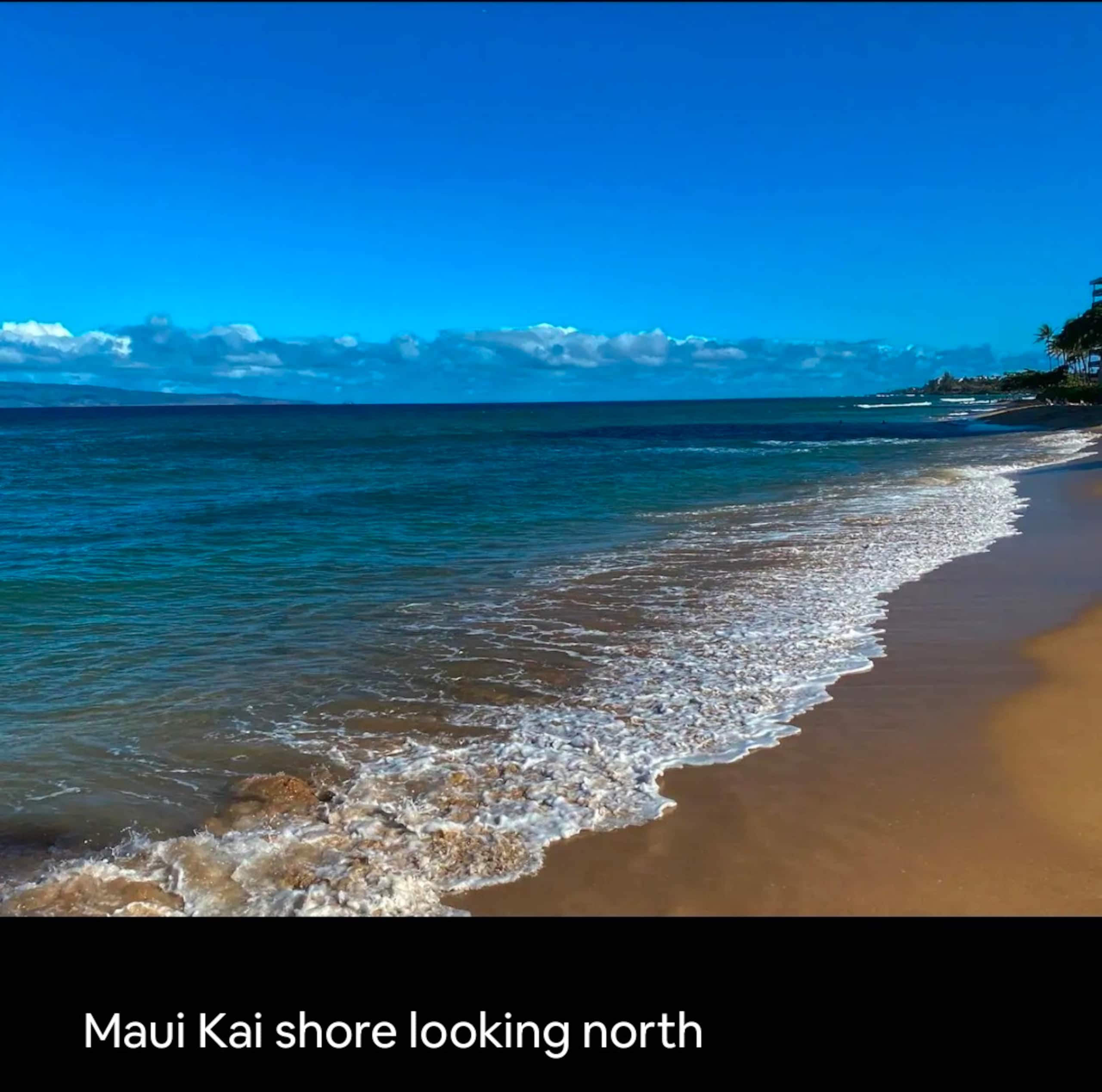 Condo in Lahaina · ★4.92 · Studio · 2 beds · 1 bath - Image 12