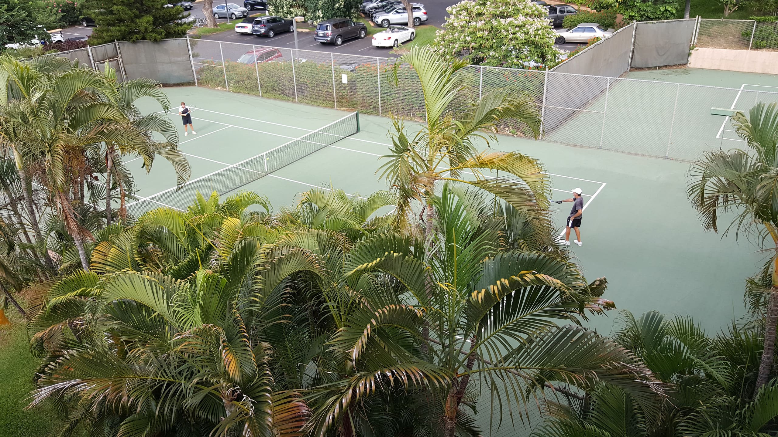 Condo in Kihei · ★4.97 · 1 bedroom · 1 bed · 1 private bath - Image 12