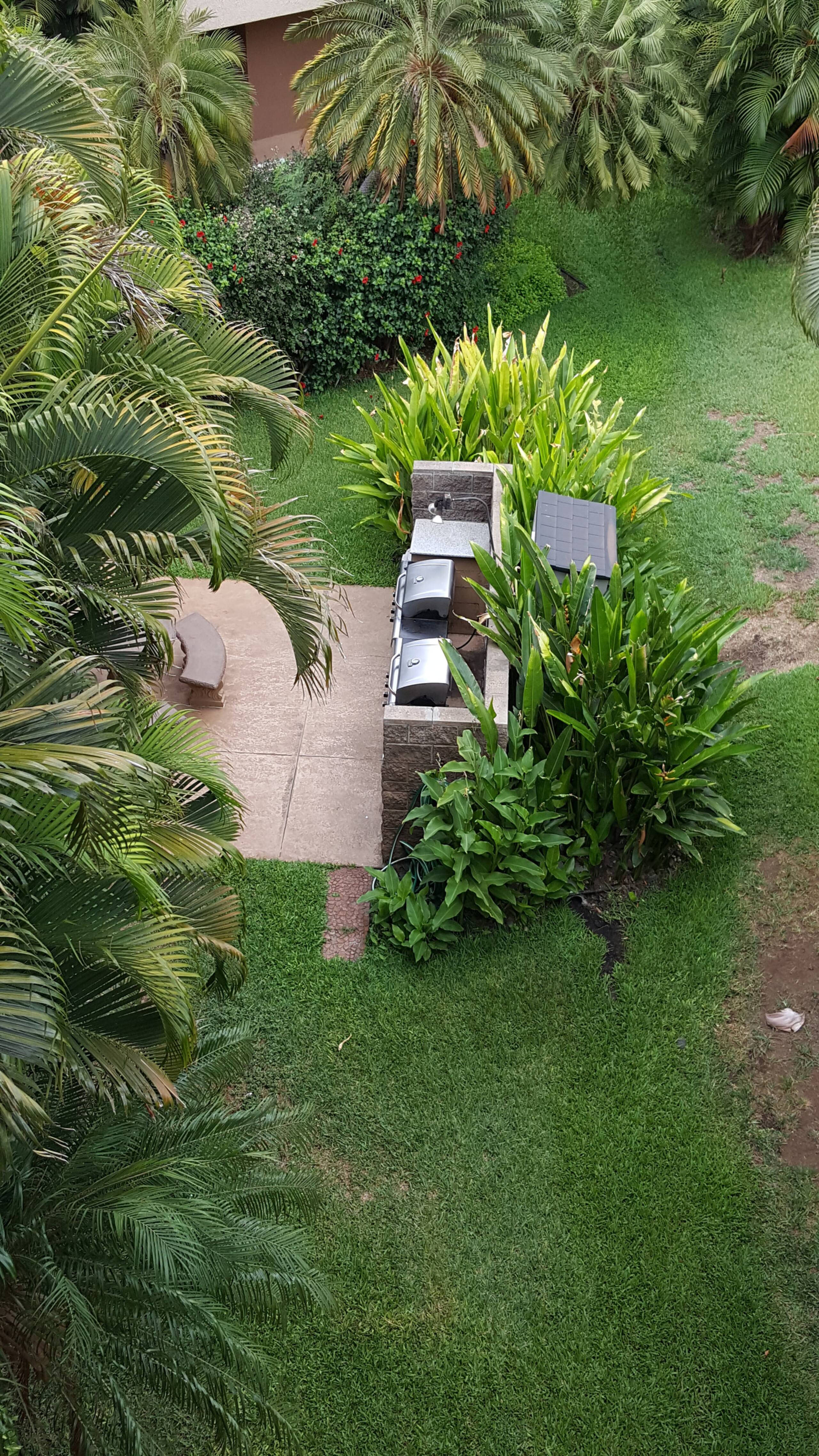 Condo in Kihei · ★4.97 · 1 bedroom · 1 bed · 1 private bath - Image 27