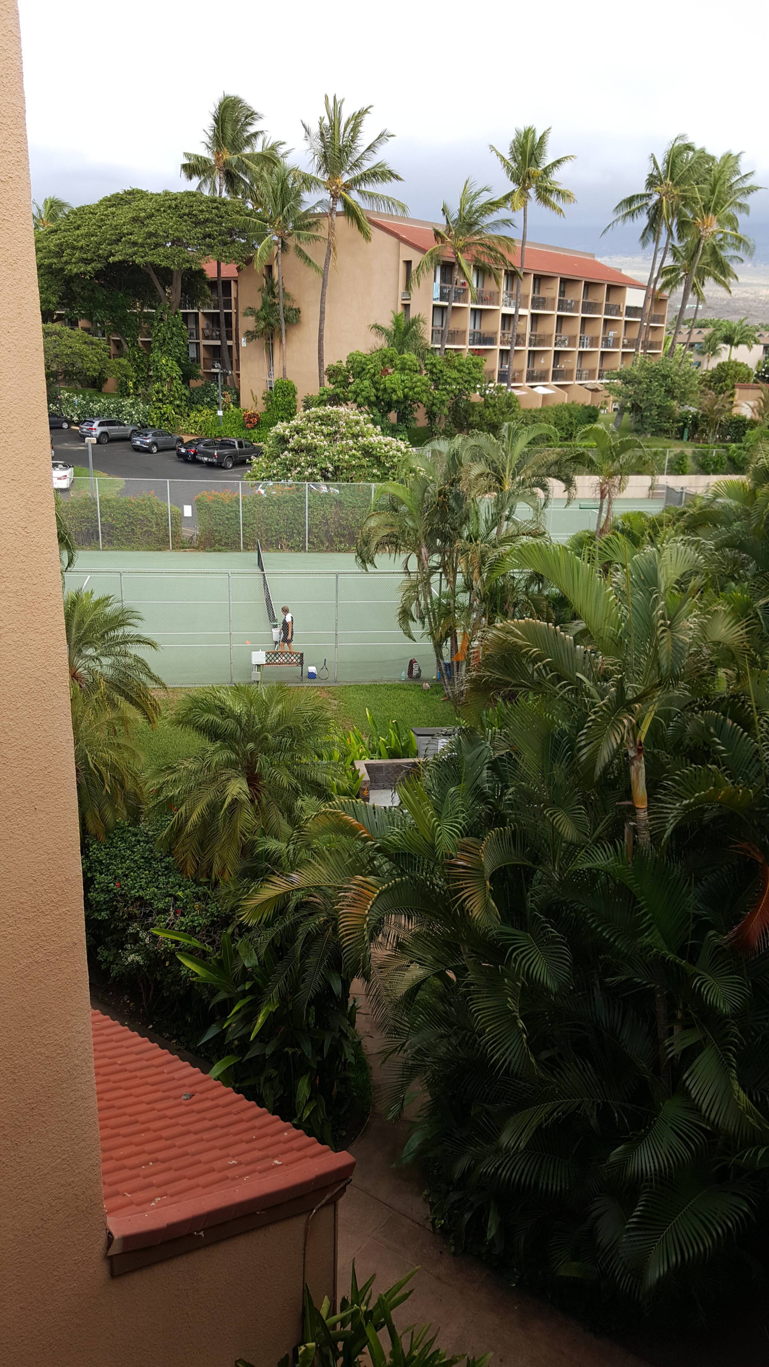Condo in Kihei · ★4.97 · 1 bedroom · 1 bed · 1 private bath - Image 24