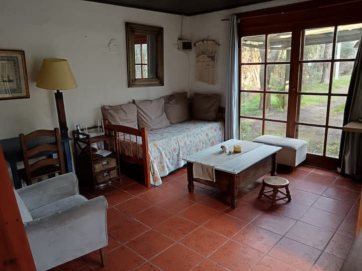 Mapazia meusi kwenye dirisha.