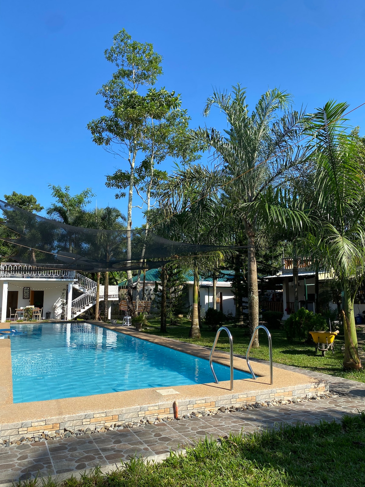 A private pool is surrounded by lush palm trees and tropical foliage, reflecting a clear blue sky. The pool area features stairs for easy access, and a spacious patio is visible in the background, providing additional outdoor space for relaxation.