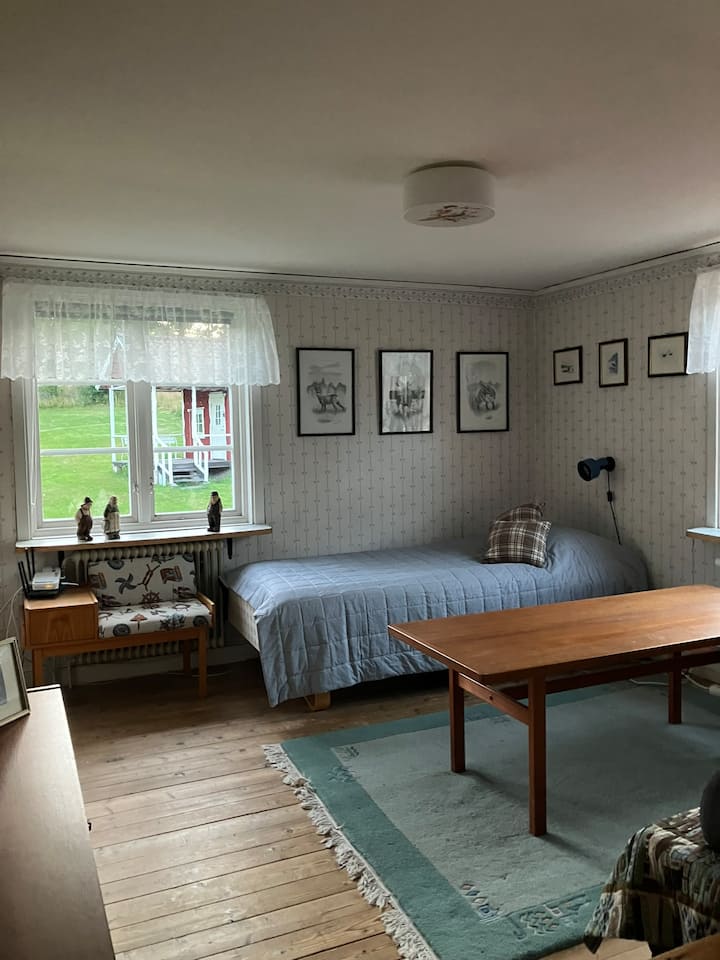 La camera "Blu" ha un letto singolo più un divano letto che, secondo gli ospiti precedenti, dovrebbe essere comodo per dormire. 