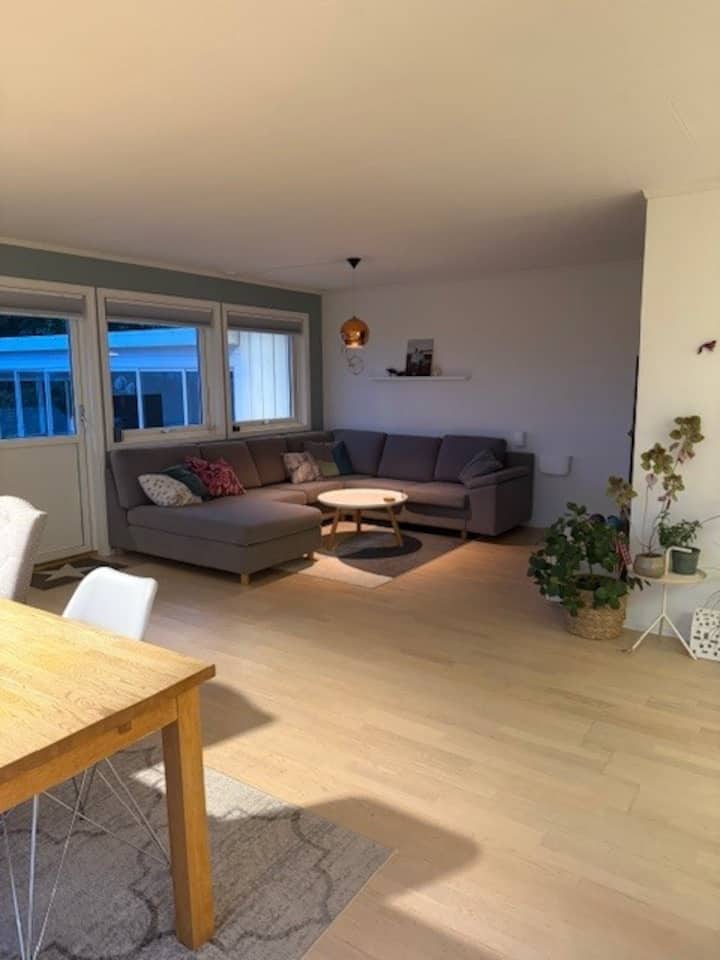 ÅRøhagen - Molde