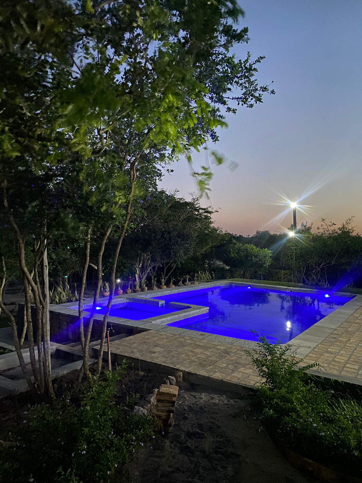 A serene pool area is illuminated with soft blue lights as dusk settles in. Lush trees surround the pool, creating a natural, tranquil setting. The sky transitions from orange to twilight, enhancing the peaceful atmosphere.