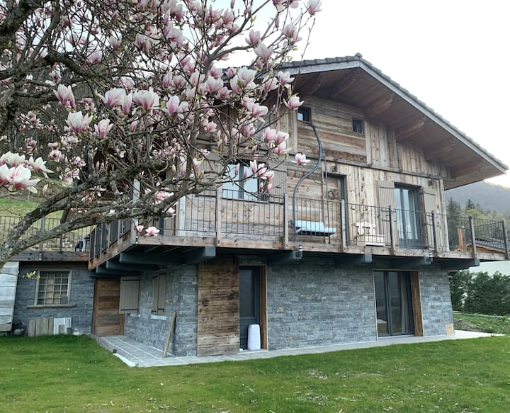 Bienvenue Dans Notre Chalet Des Sources Du Lac. - Faverges
