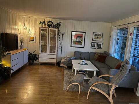 Successful Airbnb property: Cozy apartment close to the countryside in Mortensnes