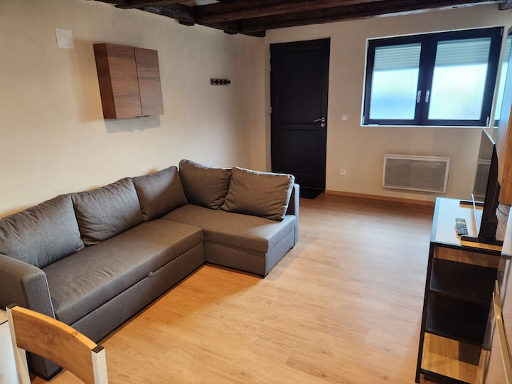 Maison De Ville Avec Mezzanine, La Domu - Ribeauvillé