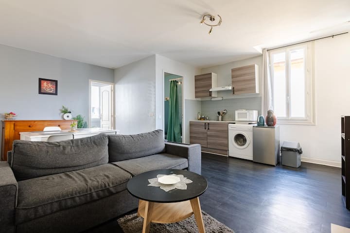 Grand Appartement Centre Tarbes - Tarbes