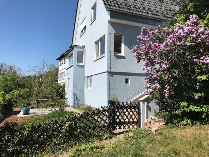 Gemütliche Gartenwohnung Im Stuttgarter Westen - Stuttgart