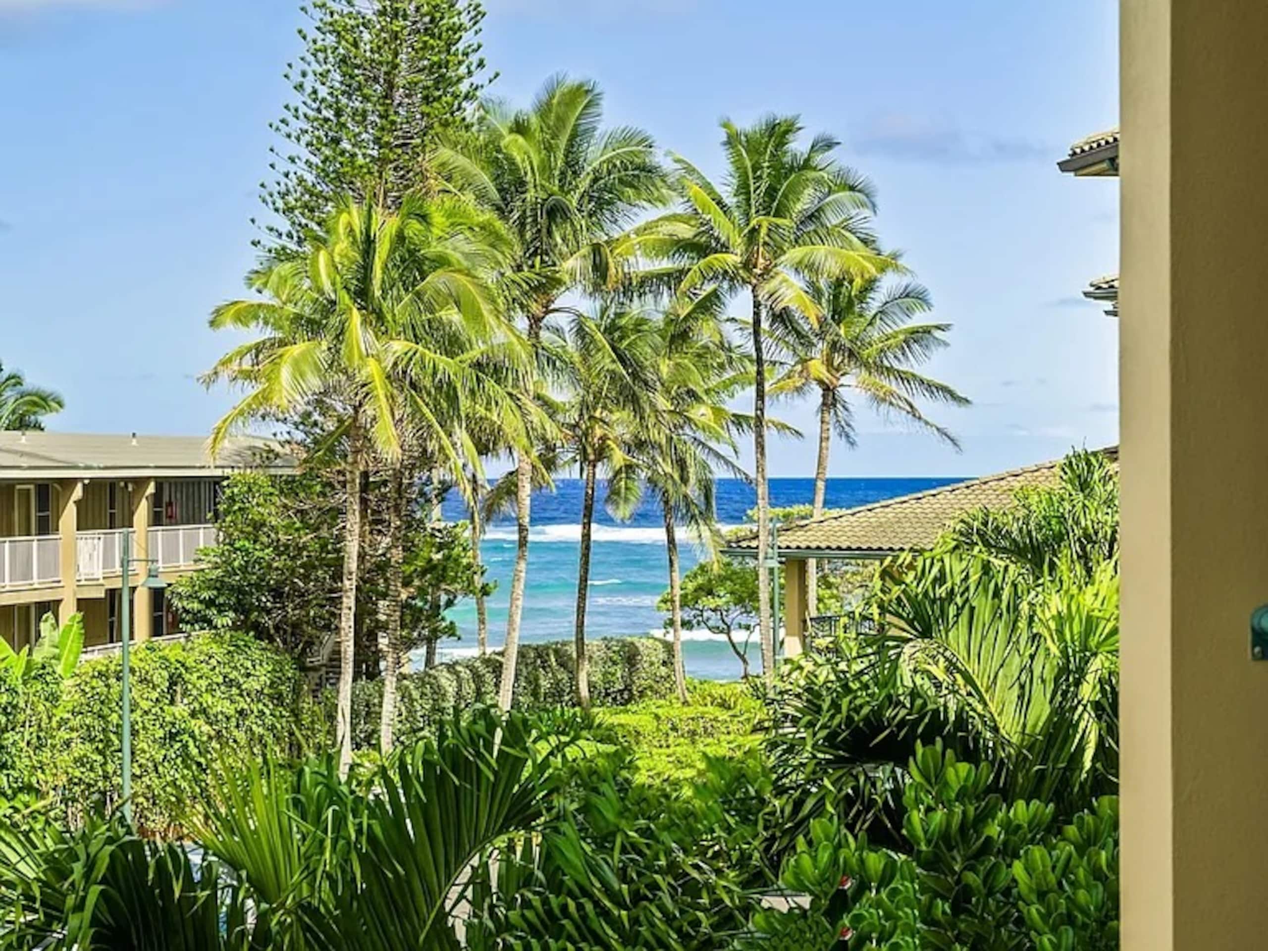 Condo in Kapaa · ★5.0 · 1 bedroom · 2 beds · 2 baths - Photo 25