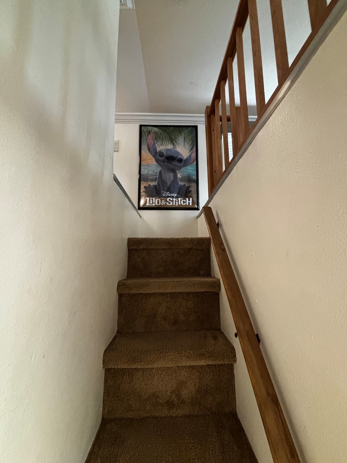 Arriba, a las habitaciones divertidas