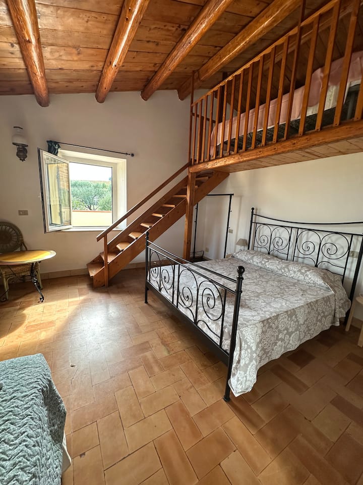 Habitación 1