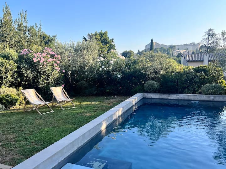 Maison Avec Spa, Jacuzzi Et Piscine Proche Avignon - Villeneuve-lès-Avignon