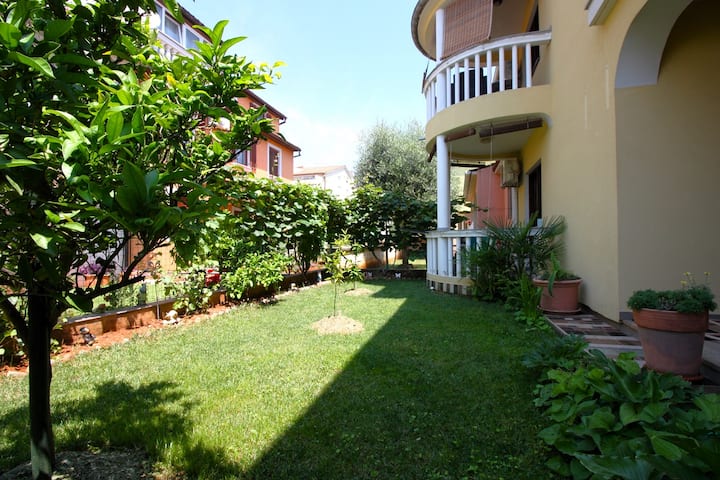 Blue Studio 80m From The Beach - Peroj