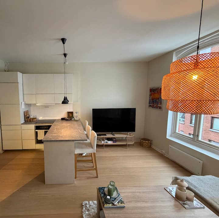 Lys Og Luftig Leilighet – Sentralt På Sandaker - Oslo