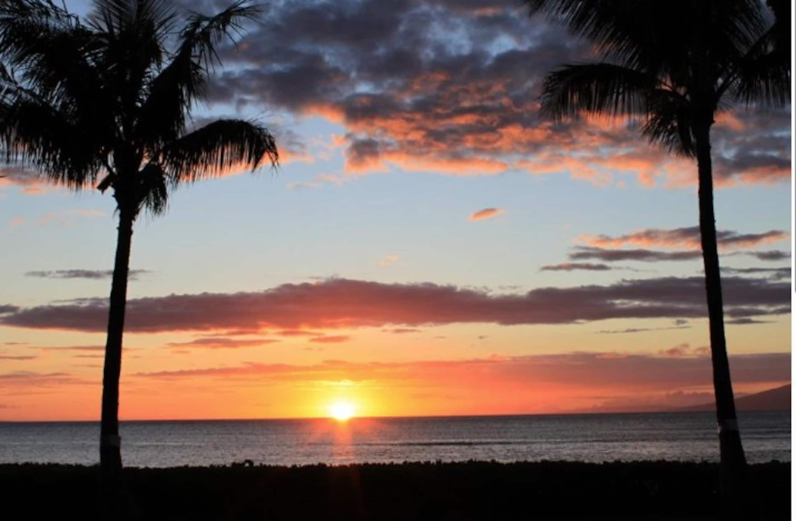 Royal Kahana 405 Studio - Great Views - Image 13