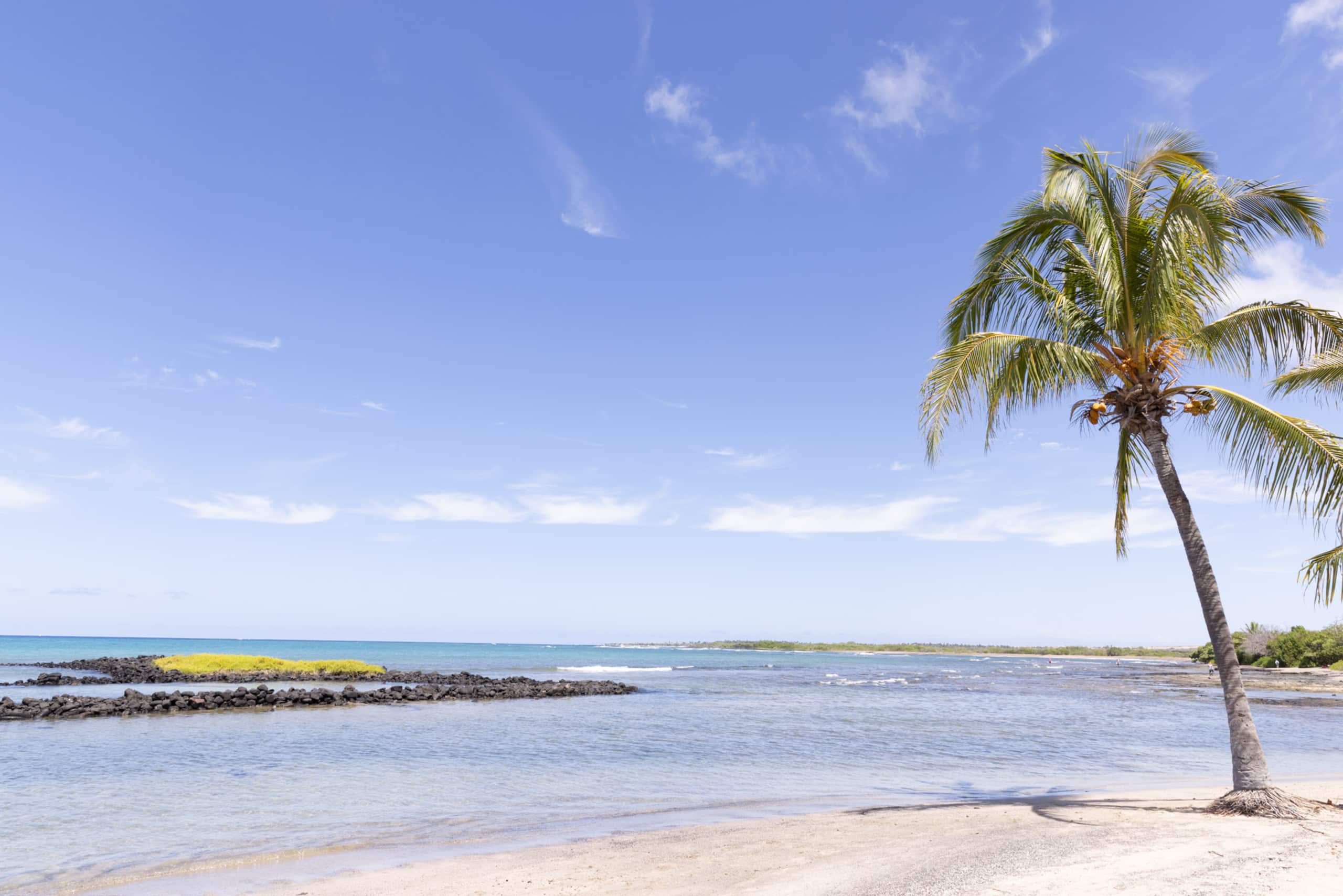 Home in Captain Cook · ★4.69 · 1 bedroom · 1 bed · 1 private bath - Image 26