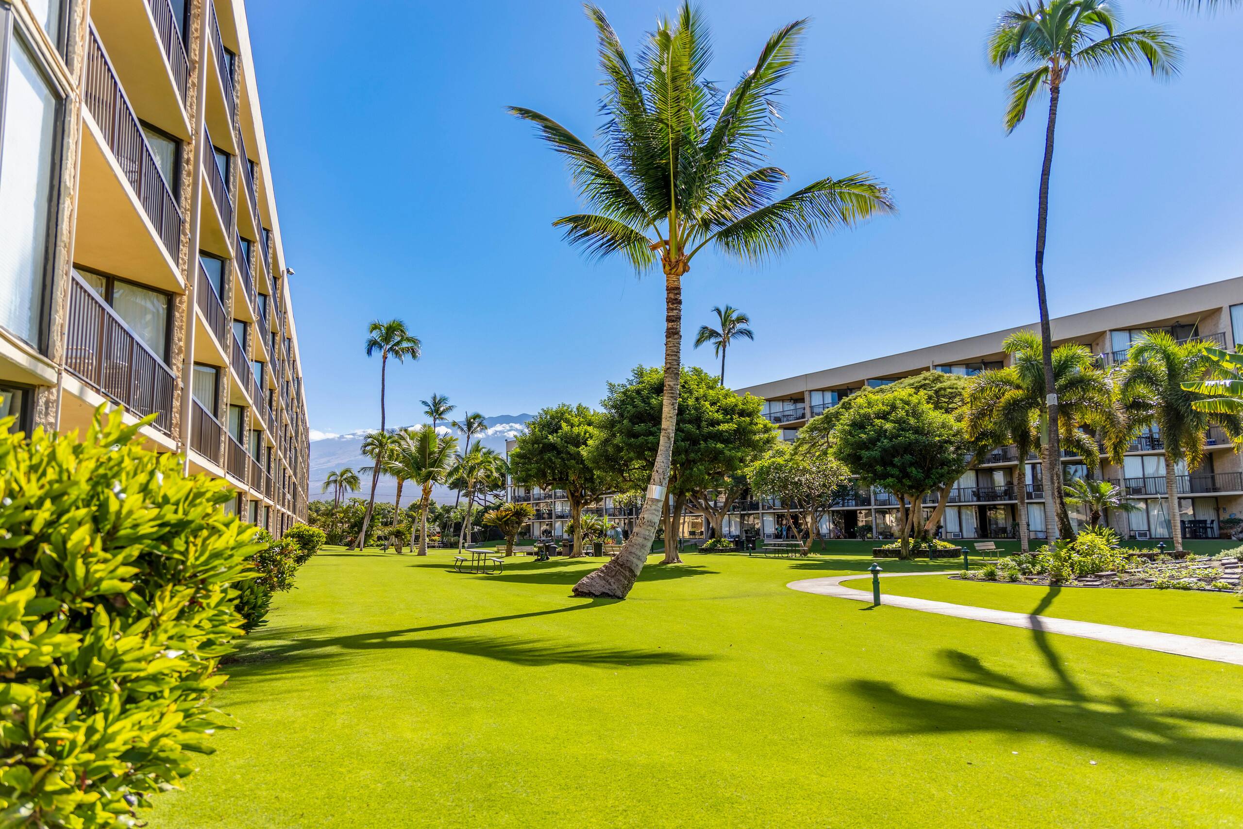 Condo in Kihei · ★4.79 · 2 bedrooms · 3 beds · 2 baths - Image 33