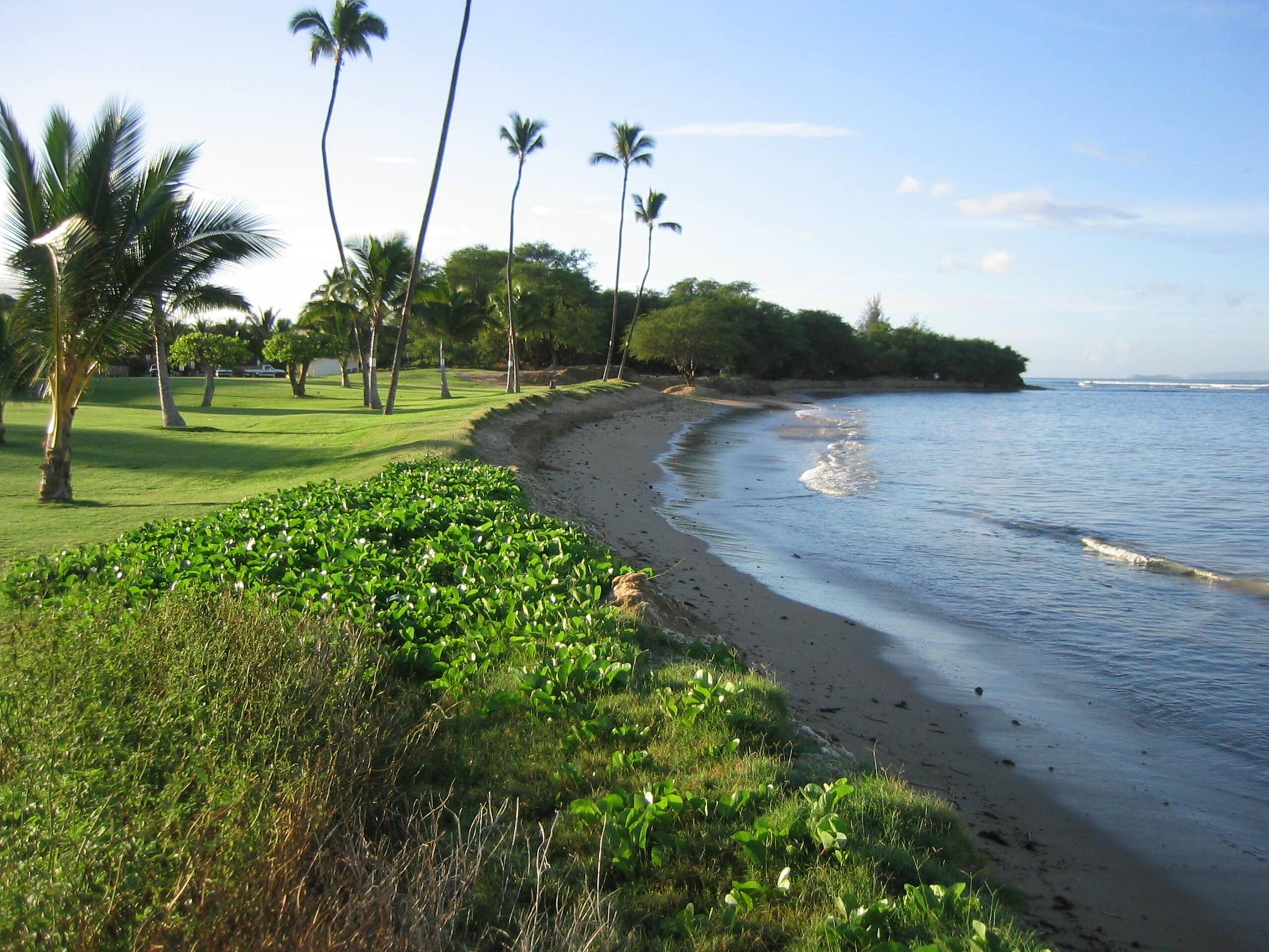 Condo in Kihei · ★4.79 · 2 bedrooms · 3 beds · 2 baths - Image 59