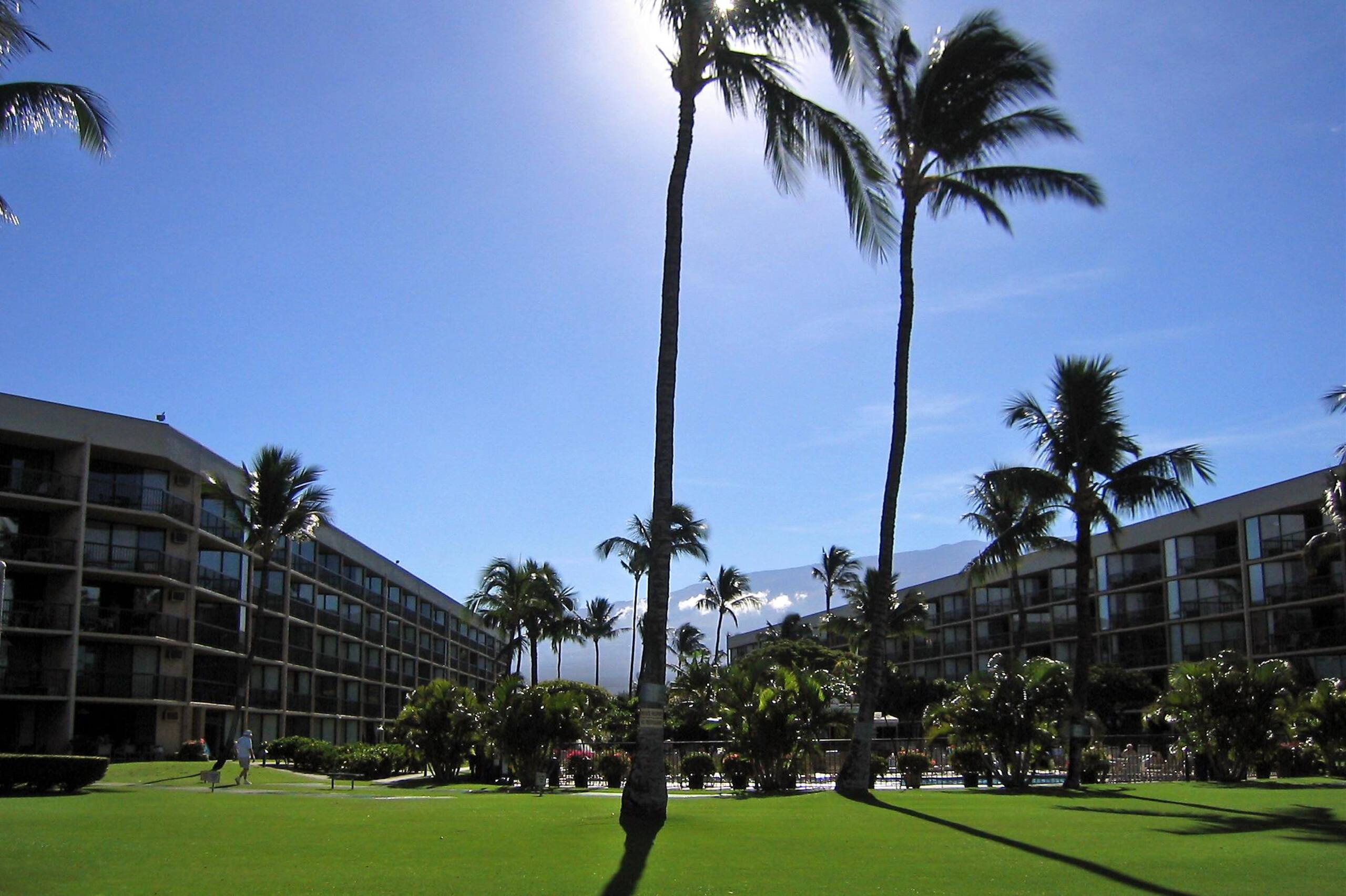 Condo in Kihei · ★4.79 · 2 bedrooms · 3 beds · 2 baths - Image 61