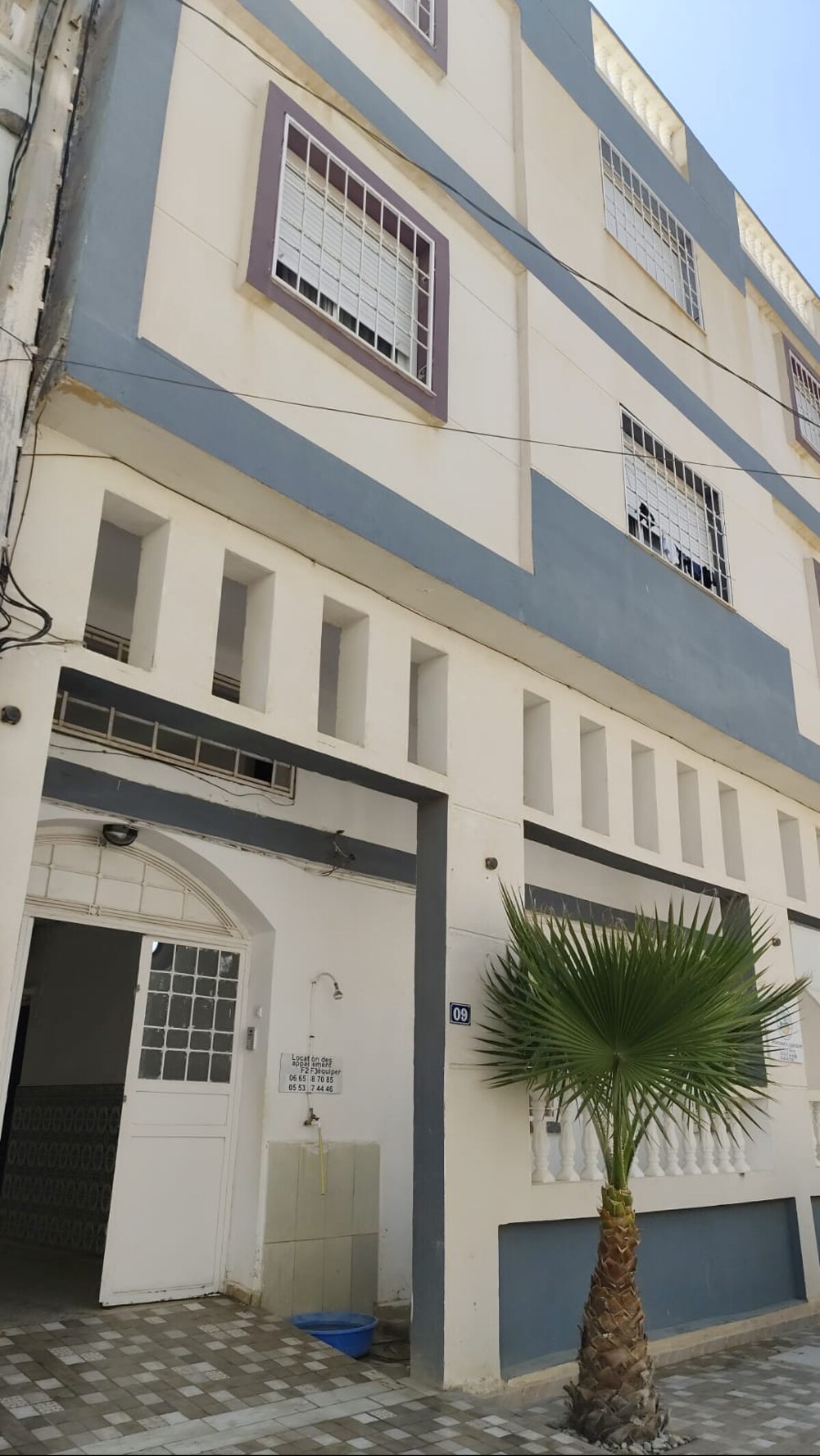 The exterior of a three-story building is displayed, featuring a combination of blue and white paint. A tall palm plant is visible at the base, and several windows are located above, some partially opened. An entrance door is situated within an arched frame, adding character to the façade.