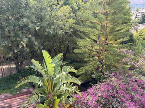 Successful Airbnb property: quiet studio in the center with parking space in Cassis