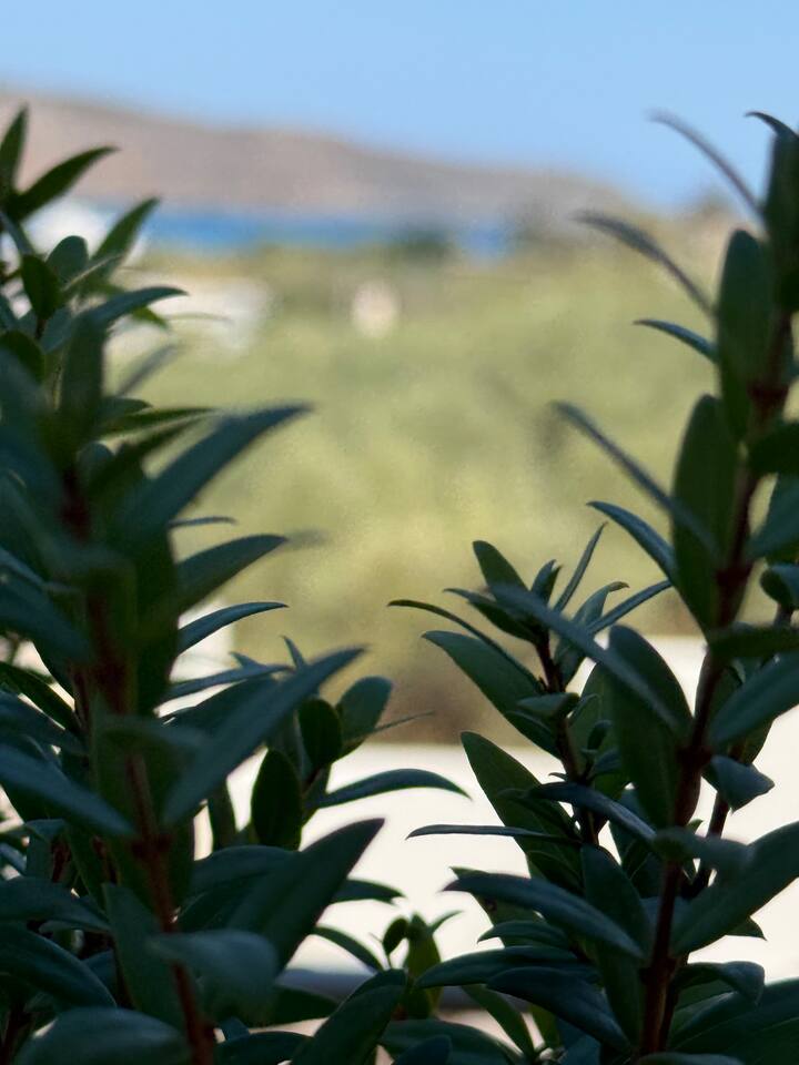 Φωτογραφία καταχώρησης 23