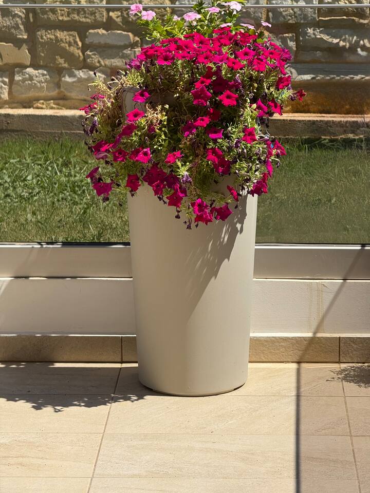 Φωτογραφία καταχώρησης 29