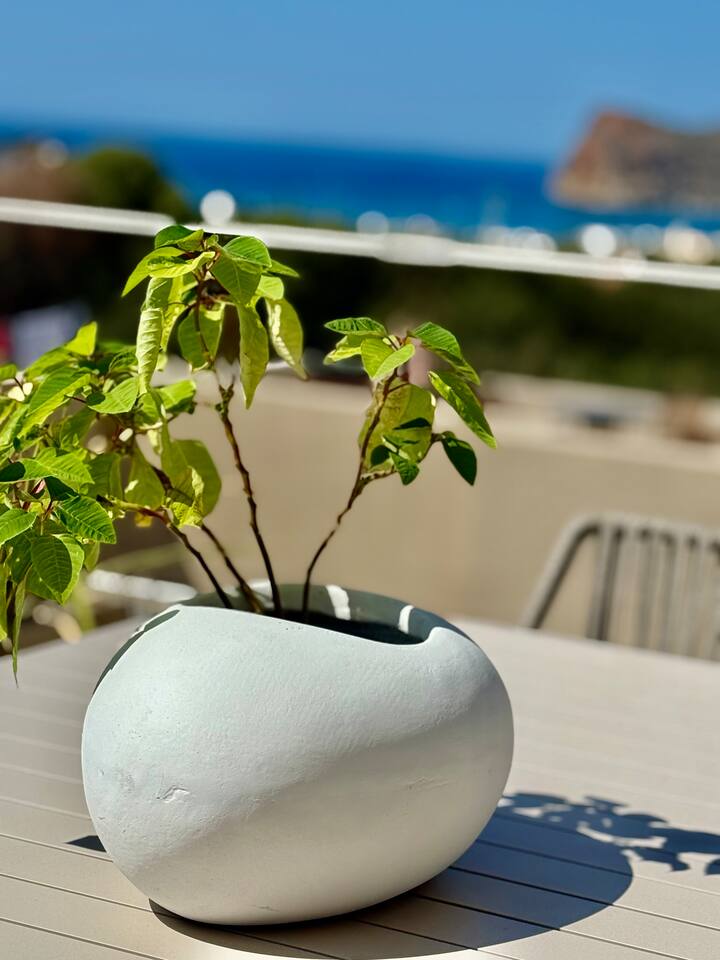 Φωτογραφία καταχώρησης 12