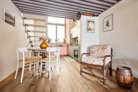 Top Airbnb: the Travelers' Nest. in Turin