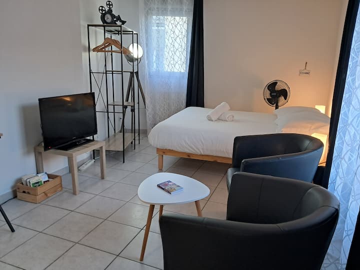 Studio Lumineux Proche Part-dieu - Ambiance Cinéma - Villeurbanne