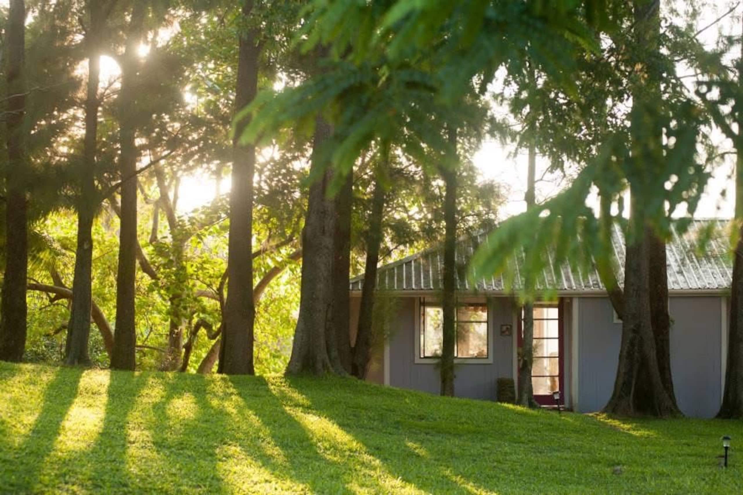 Hale Kukui - Orchard Cottage! Epic Views! - Image 24