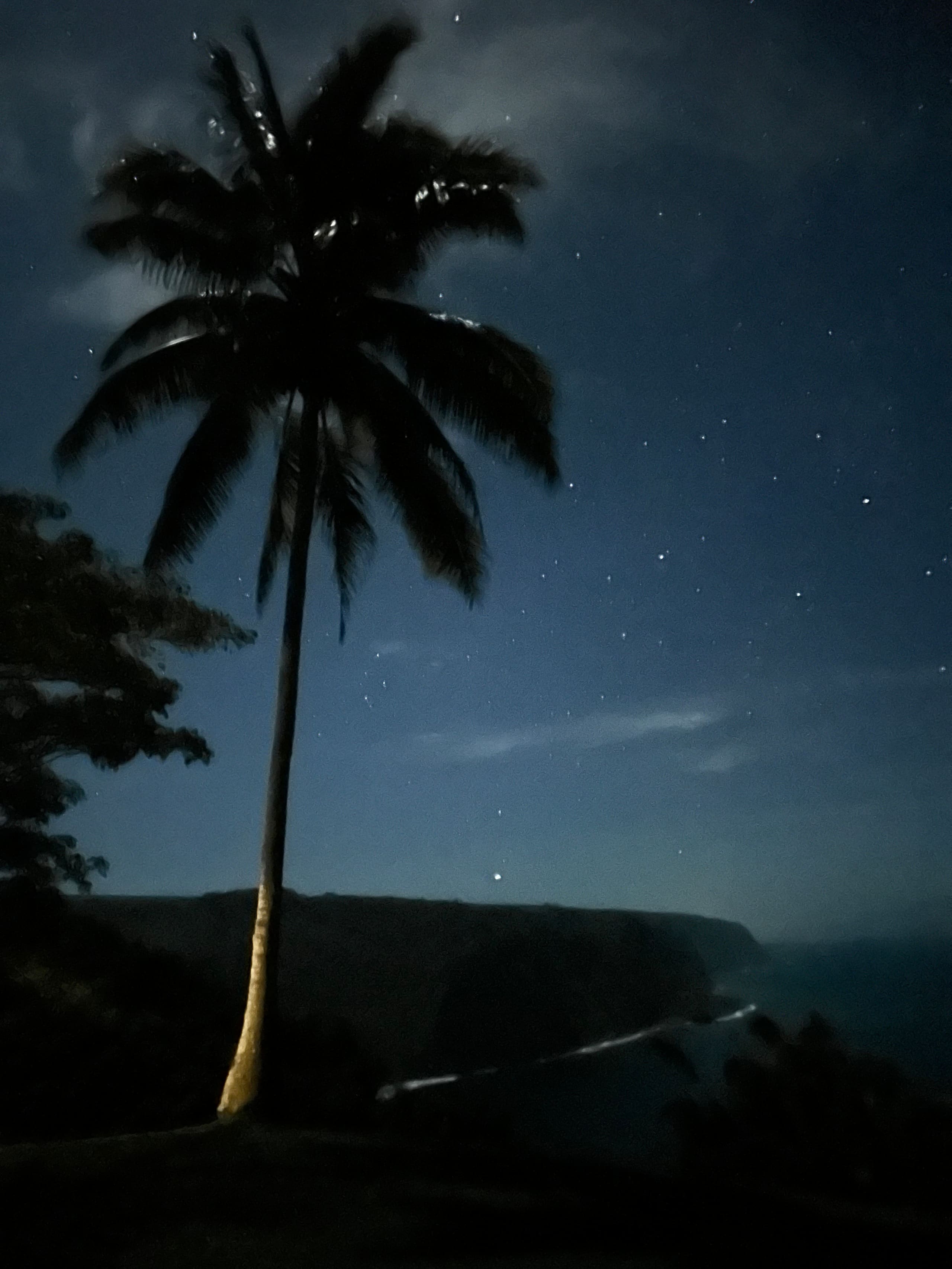 Hale Kukui - Orchard Cottage! Epic Views! - Image 19