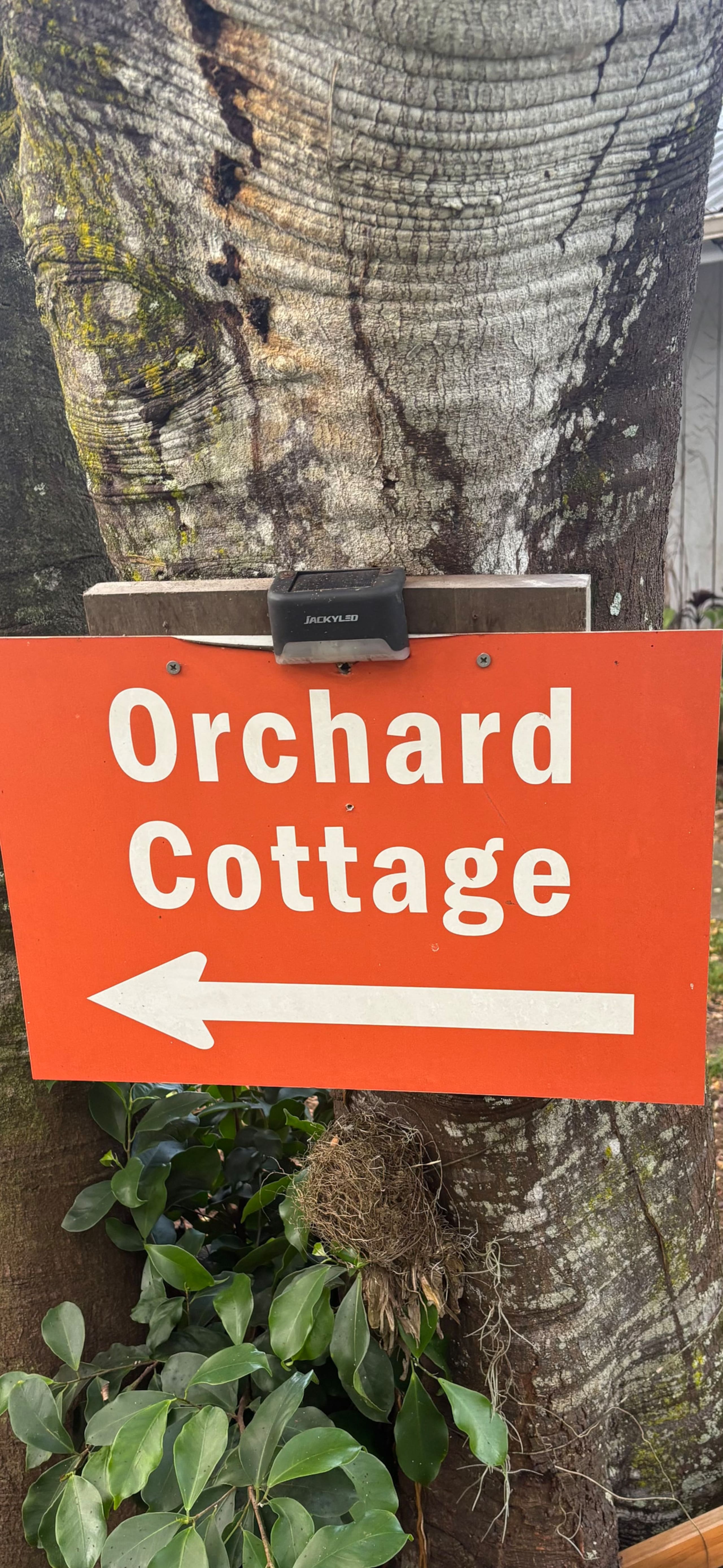 Hale Kukui - Orchard Cottage! Epic Views! - Image 33