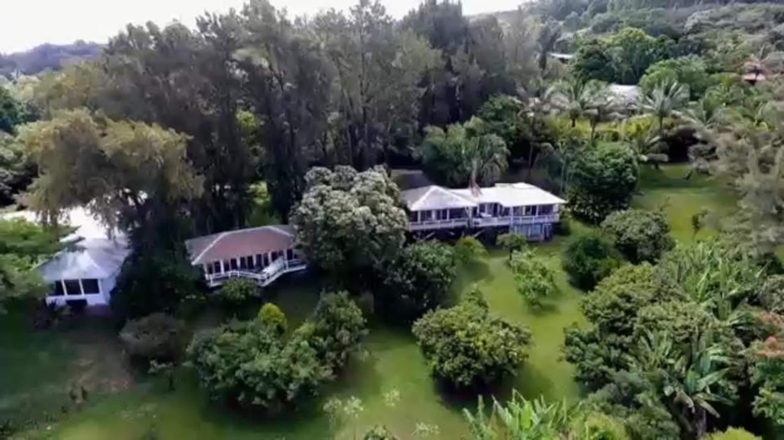 Hale Kukui - Orchard Cottage! Epic Views! - Image 20