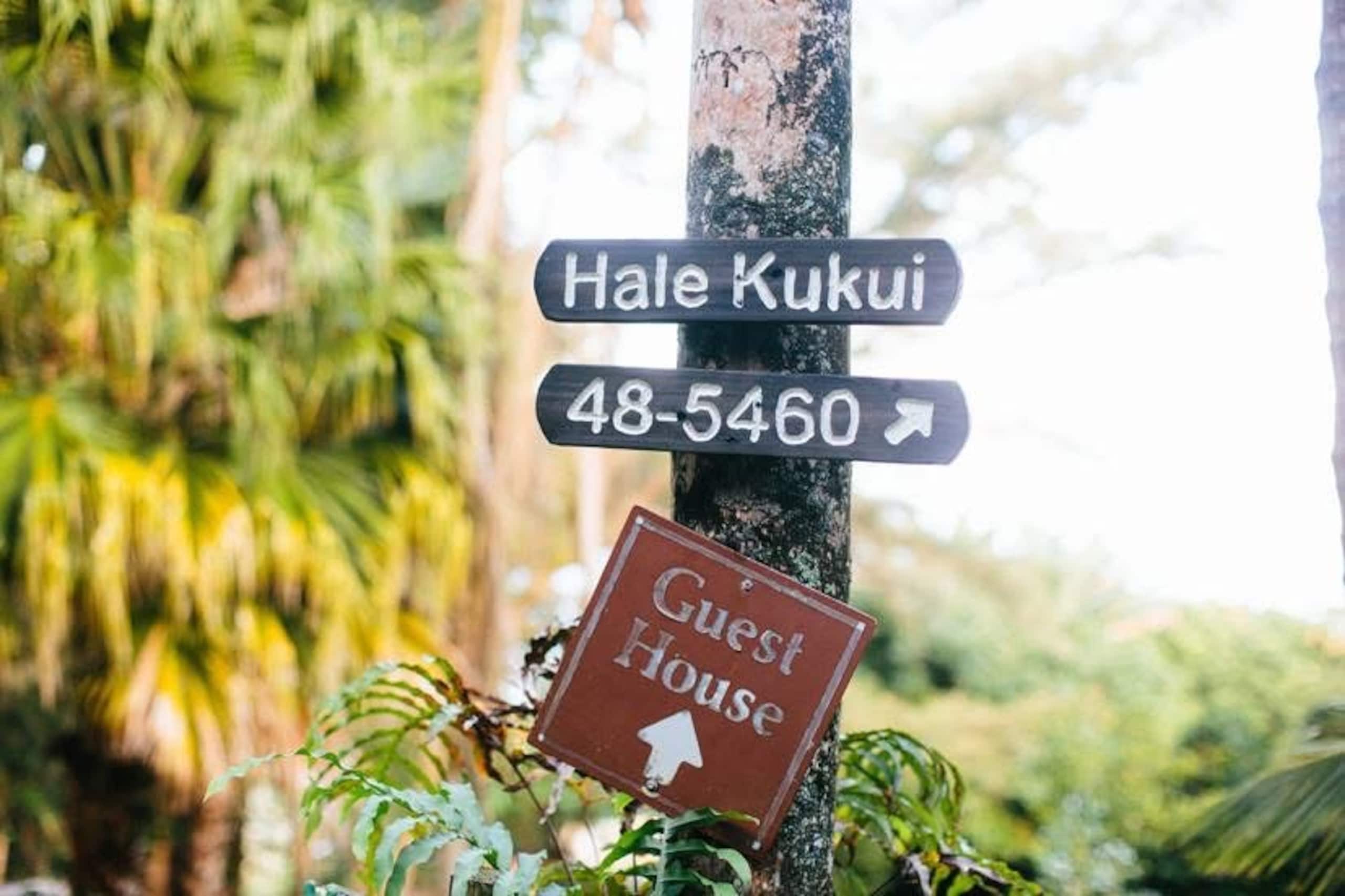Hale Kukui - Orchard Cottage! Epic Views! - Image 18