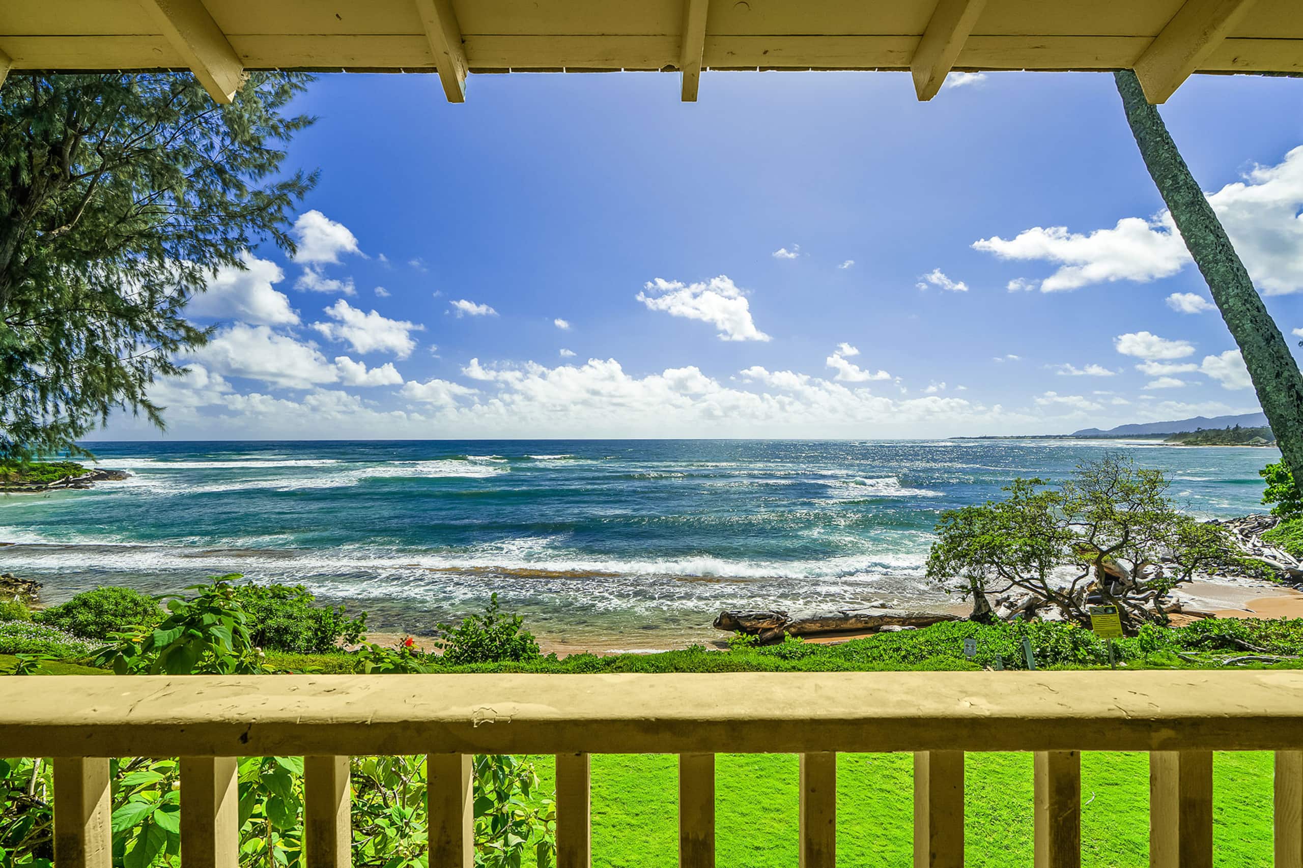 Oceanfront Studio w/Panoramic Views - Photo 15